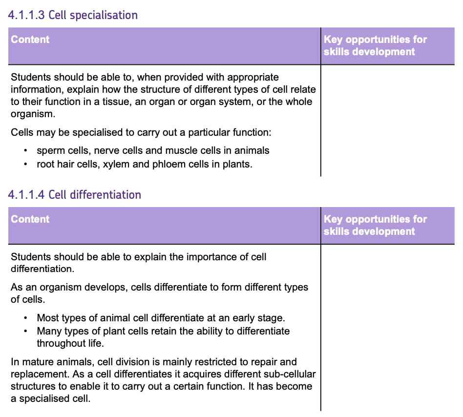 gbatch1-1-2spec